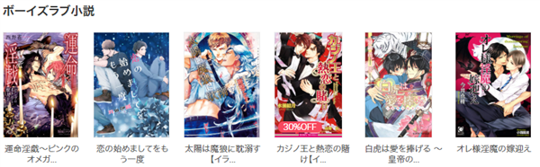 ebookjapan マンガ以外